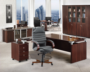 TOSCA DIRECTOR CLASS