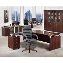 TOSCA DIRECTOR CLASS